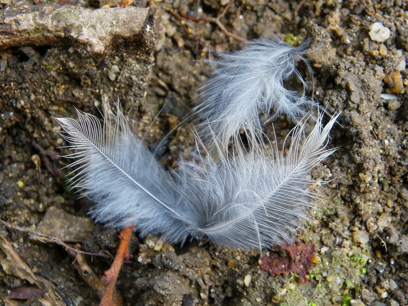 f0204094_924540.jpg