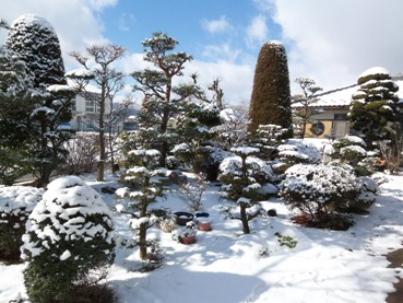 長野から雪景色_f0117498_1345259.jpg