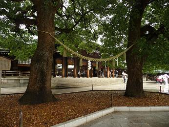 b0087914_107545.jpg