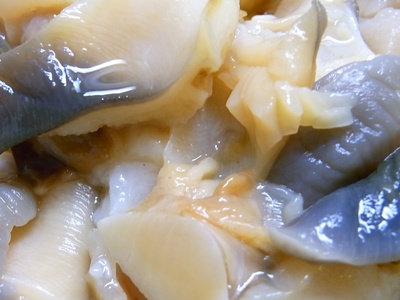 c0204725_122198.jpg