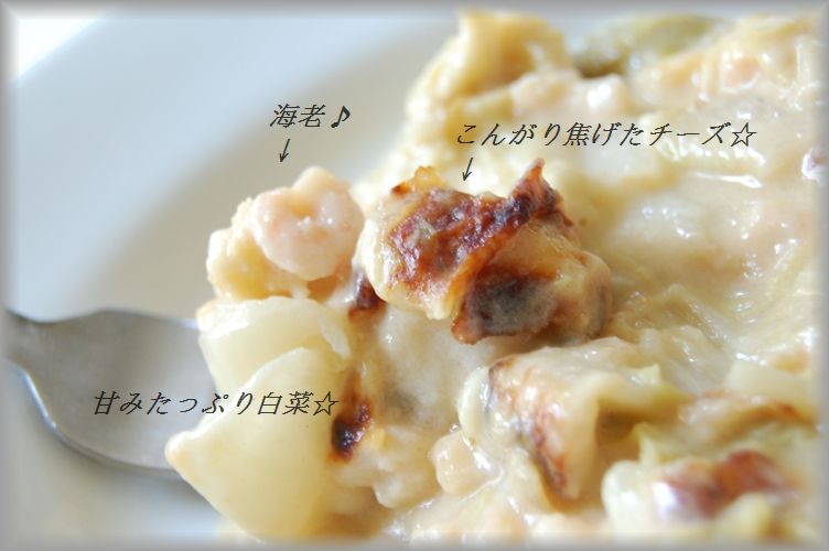 白菜と小海老の味噌チーズグラタン　_d0104926_3302841.jpg
