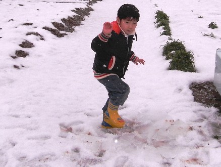 今度は氷かい！　(￣o￣;)_c0144638_434355.jpg