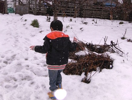 今度は氷かい！　(￣o￣;)_c0144638_4394619.jpg