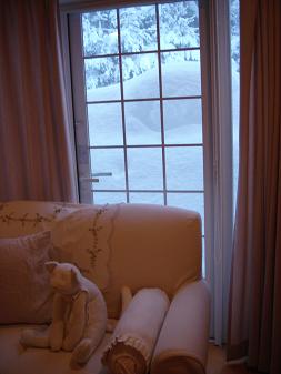 大雪で。_e0086738_16252164.jpg