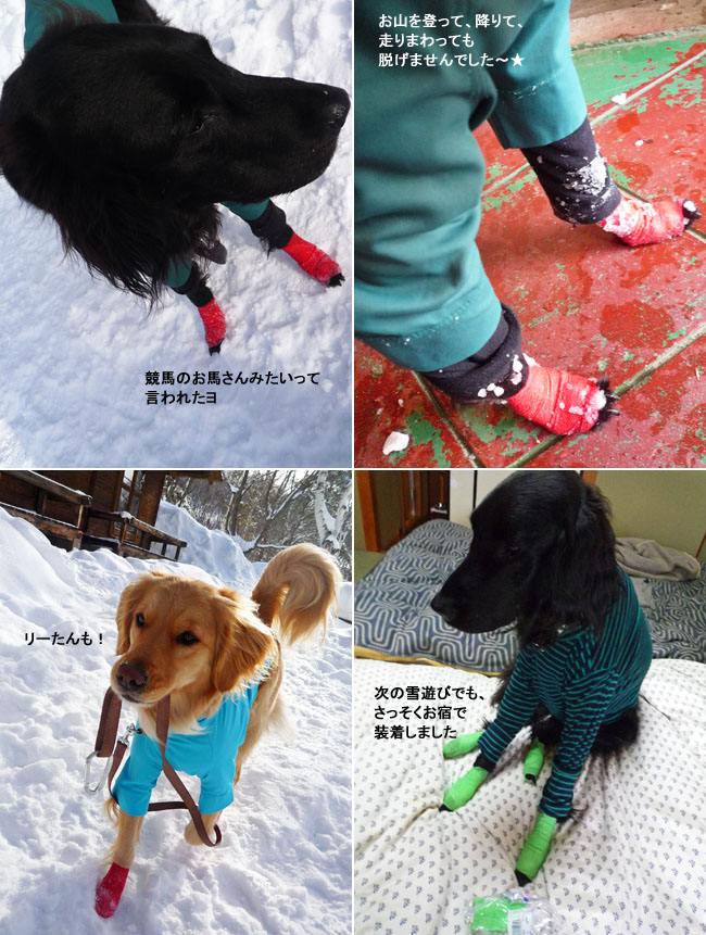 雪玉対策リーサルウェポン ノアトロ定食 雪玉対策リーサルウェポン ノアトロ定食