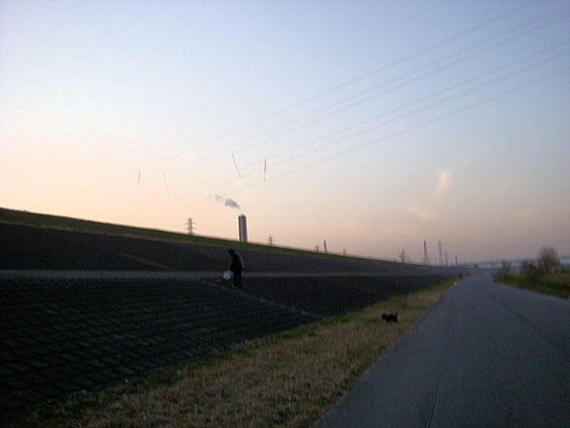 クリスマス・・・なのに　Beyond The Sea(笑)　最終回！_b0136045_7594063.jpg