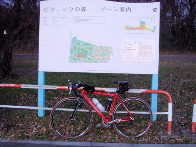 クリスマス・・・なのに　Beyond The Sea(笑)　最終回！_b0136045_850214.jpg