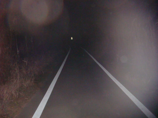 クリスマス・・・なのに　Beyond The Sea(笑)　最終回！_b0136045_9245114.jpg