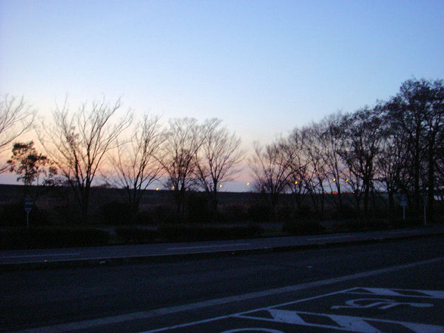 クリスマス・・・なのに　Beyond The Sea(笑)　最終回！_b0136045_972936.jpg