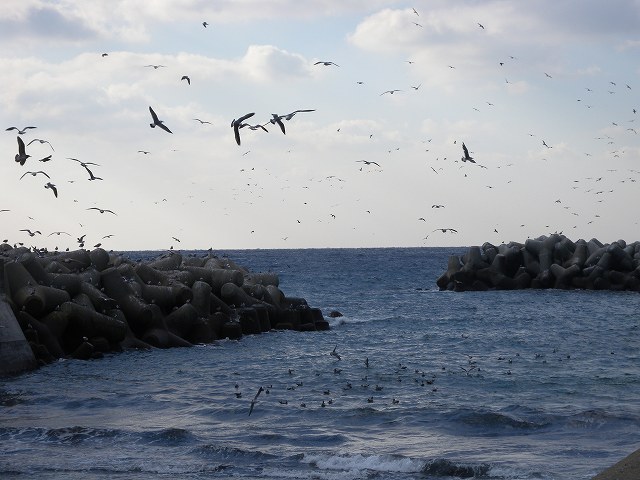b0104861_17245587.jpg