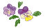 f0131263_2327477.gif