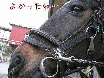 f0196665_23769.jpg