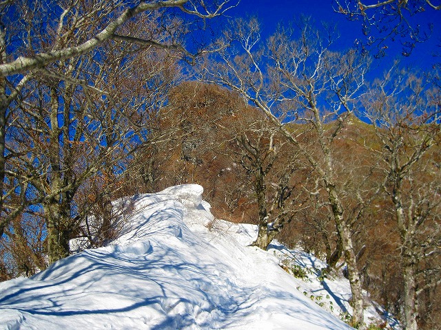 2010.1.19寒風山_c0219866_18581039.jpg