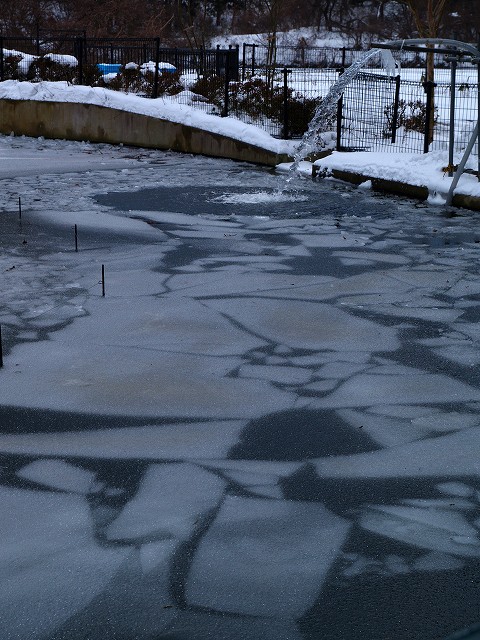 雪の動物園へ出撃！！_b0145677_11293987.jpg