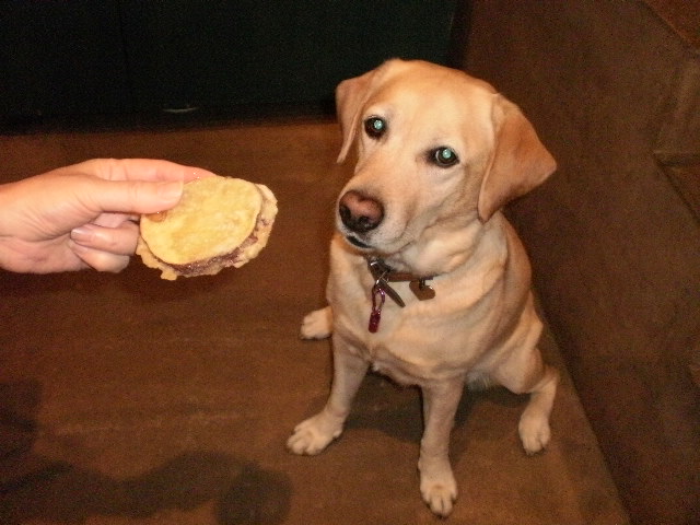f0052277_1153463.jpg