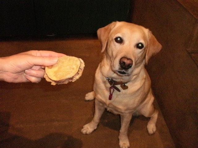 f0052277_1163641.jpg