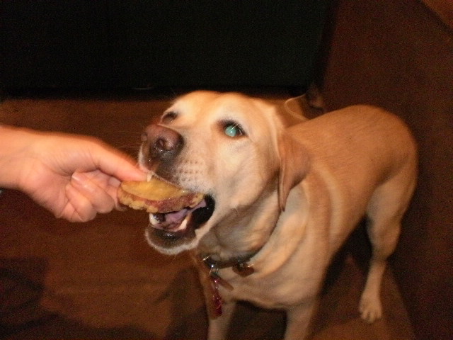 f0052277_1171792.jpg