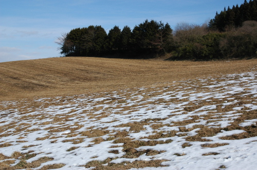 c0212083_1444247.jpg