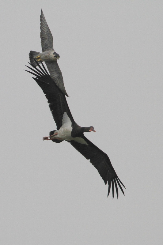 f0022486_00732.jpg