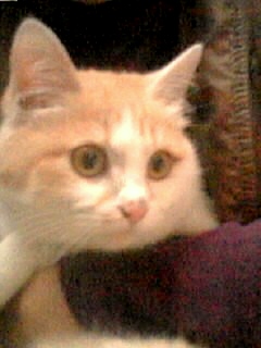 c0132289_0481211.jpg