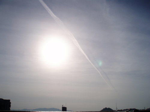 a0158790_034955.jpg