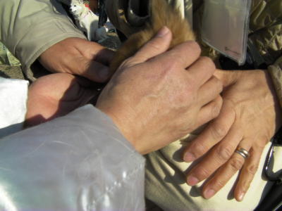 a0164292_1424468.jpg