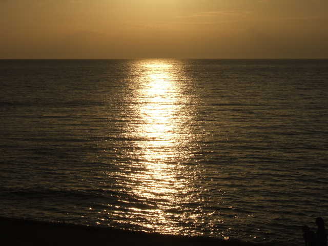 d0135694_331769.jpg