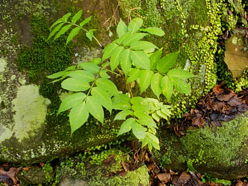 f0204094_22154670.jpg