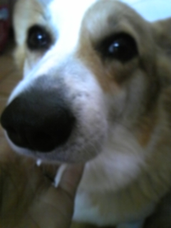 f0017897_8242986.jpg
