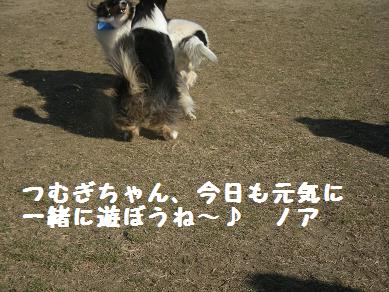 f0081100_20231613.jpg