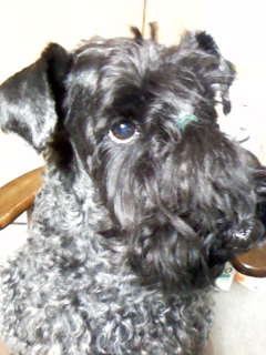 c0037701_21565365.jpg