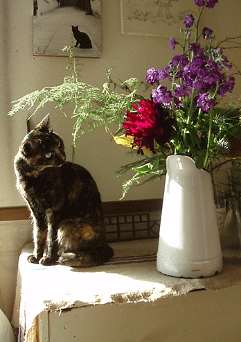 c0129702_2383975.gif