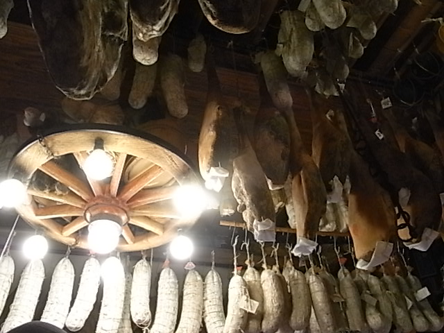 e0061902_8074.jpg
