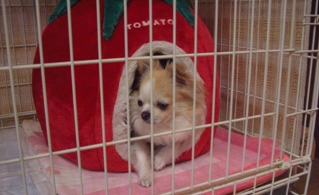 c0132205_82923100.jpg