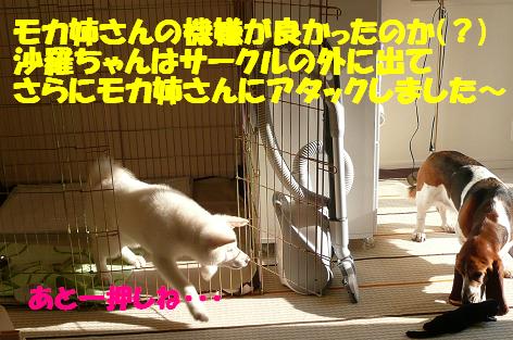 f0121712_18102937.jpg