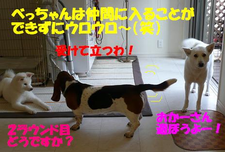 f0121712_18114133.jpg