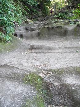 b0087914_13311238.jpg