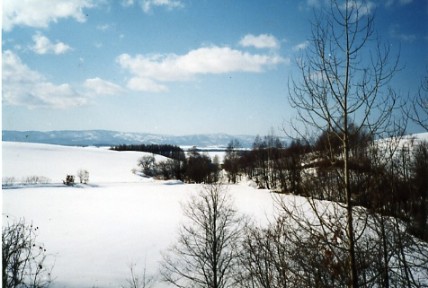 a0116217_1405894.jpg