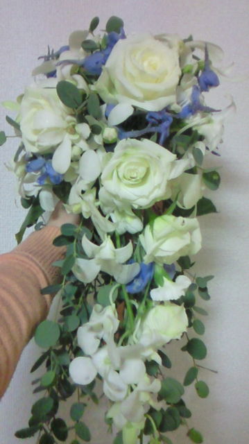 f0200331_20224063.jpg