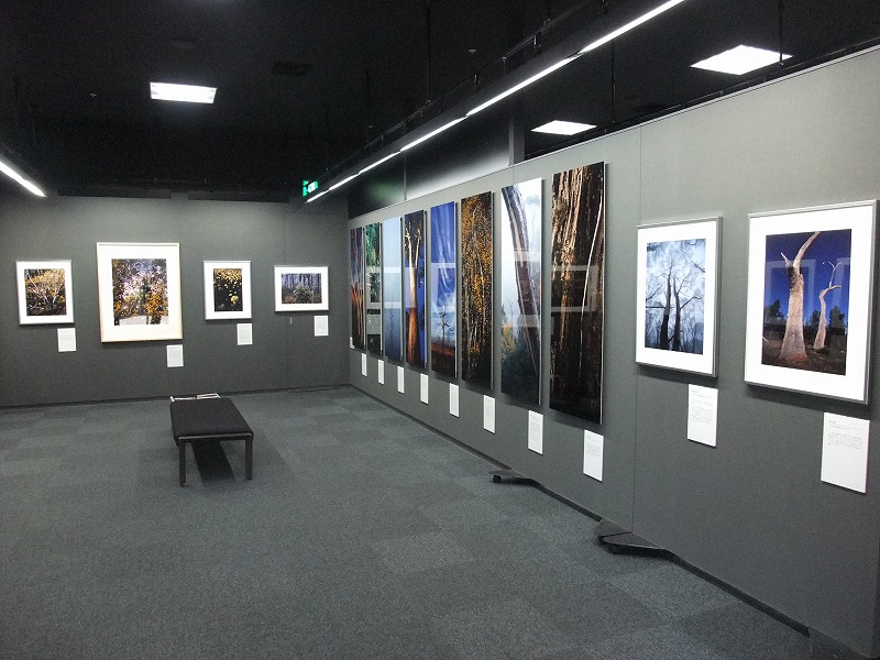 今日からいよいフジフイルムフォトサロン仙台で写真展_f0050534_10251876.jpg