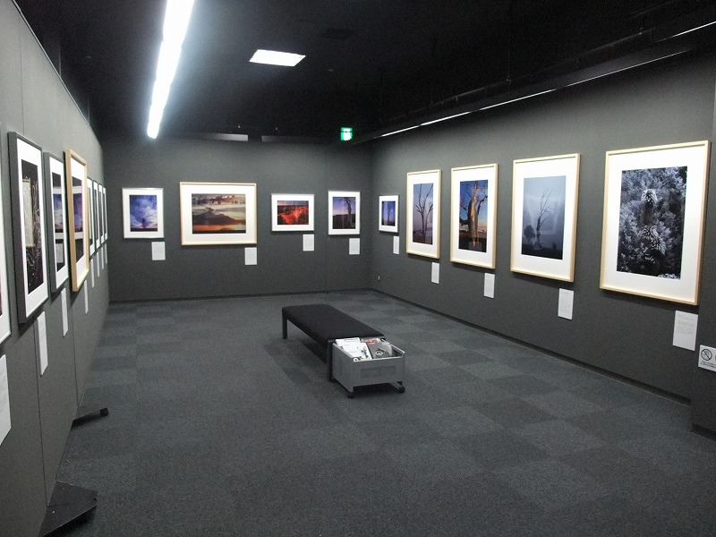 今日からいよいフジフイルムフォトサロン仙台で写真展_f0050534_10255184.jpg