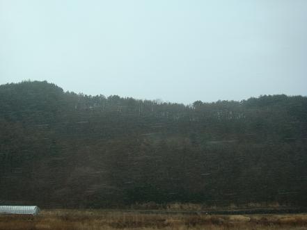 a0014840_21402965.jpg