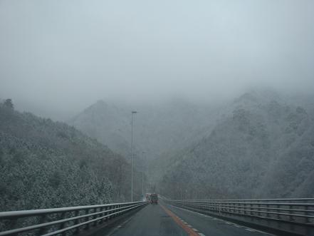 a0014840_228717.jpg