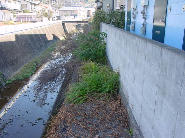 e0196845_13531511.jpg