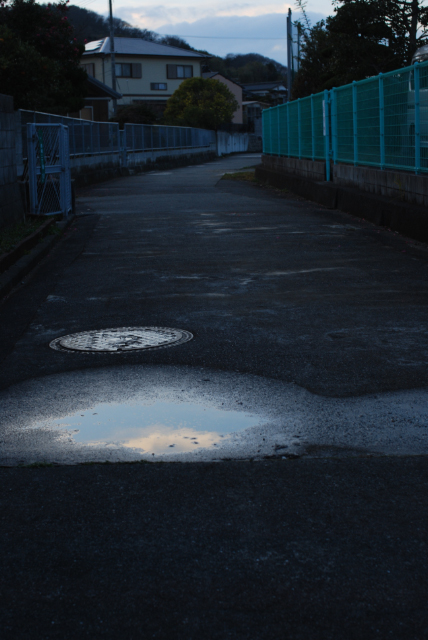 雨のち曇り、夕方やや晴れ_b0146751_18325179.jpg