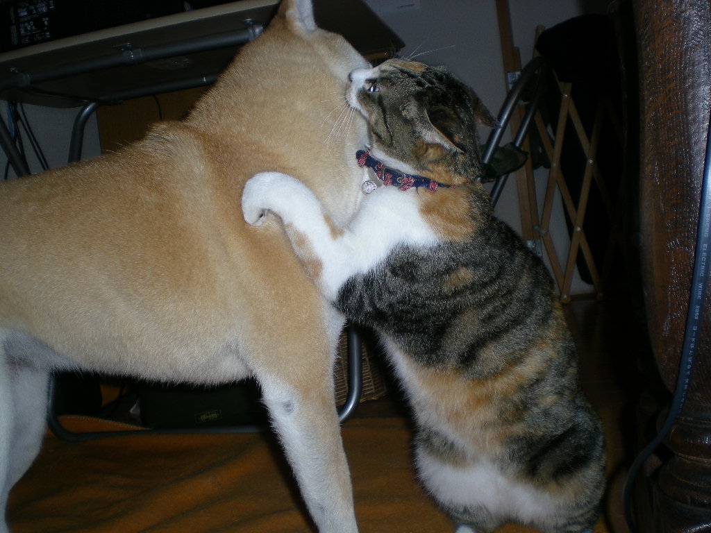 2010年1月21日(木)「コルテオ」見に行ったよ!_f0060461_20154977.jpg