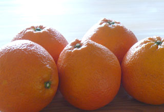 d0111565_11165568.jpg