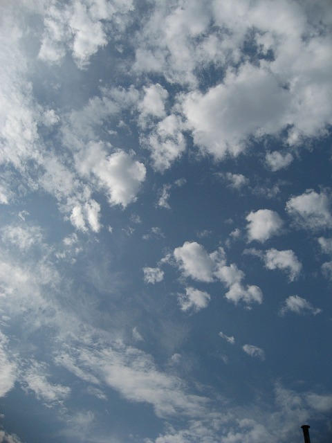 e0184077_0184970.jpg