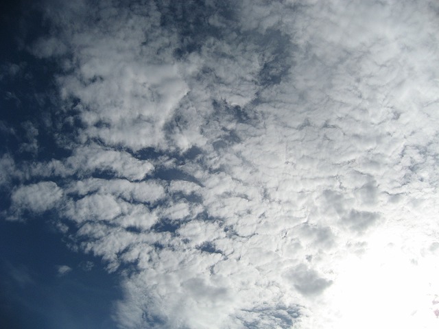 e0184077_019523.jpg