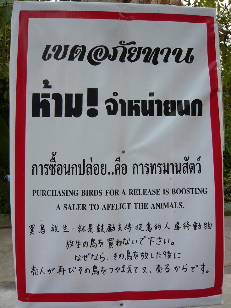 f0178278_9123255.jpg